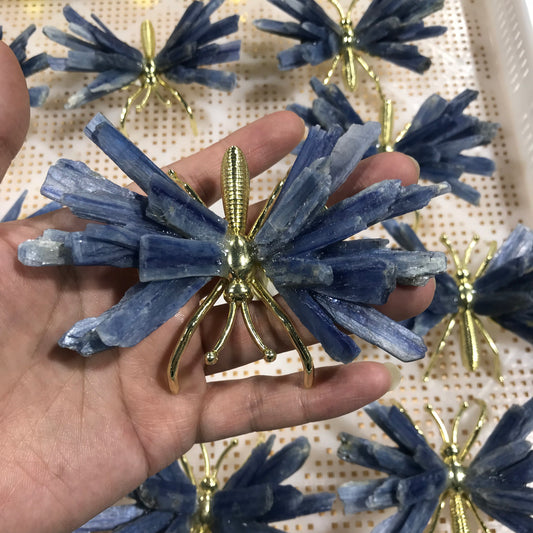 Aquamarine Butterfly